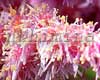 �������� Heart and Soul