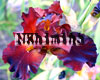 ������� ��������� ���� Unforgettable Fire